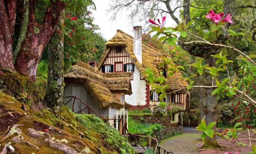 Os Ladrões de Água da Madeira