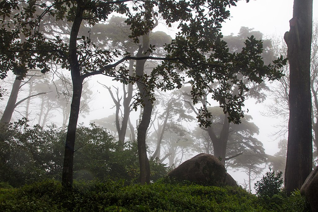 Sintra: The Sacred Mountain