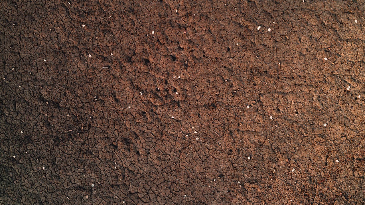 A terra debaixo dos teus pés