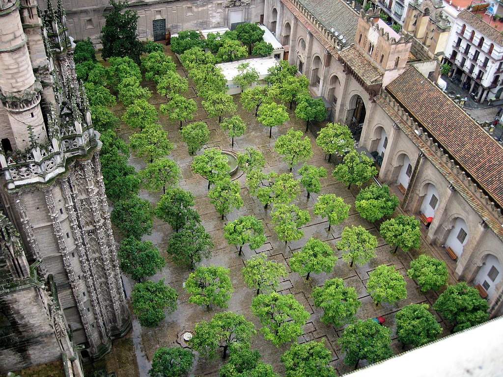 The Courtyard of Orange Trees